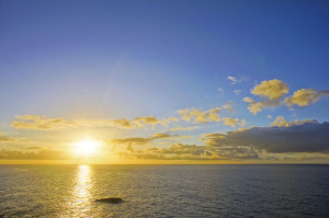 oystersunrise